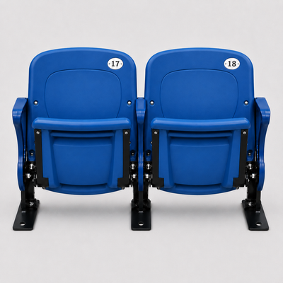 Nissan Stadium Seat Pairs - Blue